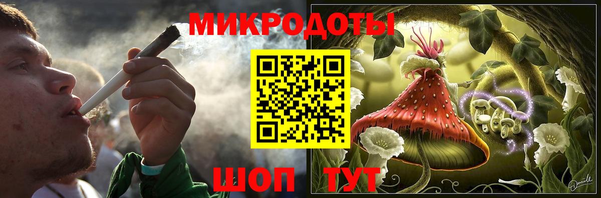 Канаш  купить наркоту  Вход с VPN  Псилоцибиновые грибы MAGIC MUSHROOMS  Псилоцибиновые грибы Psilocybe 