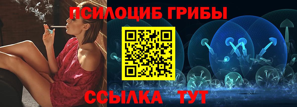 Галлюциногенные грибы прущие грибы Канаш